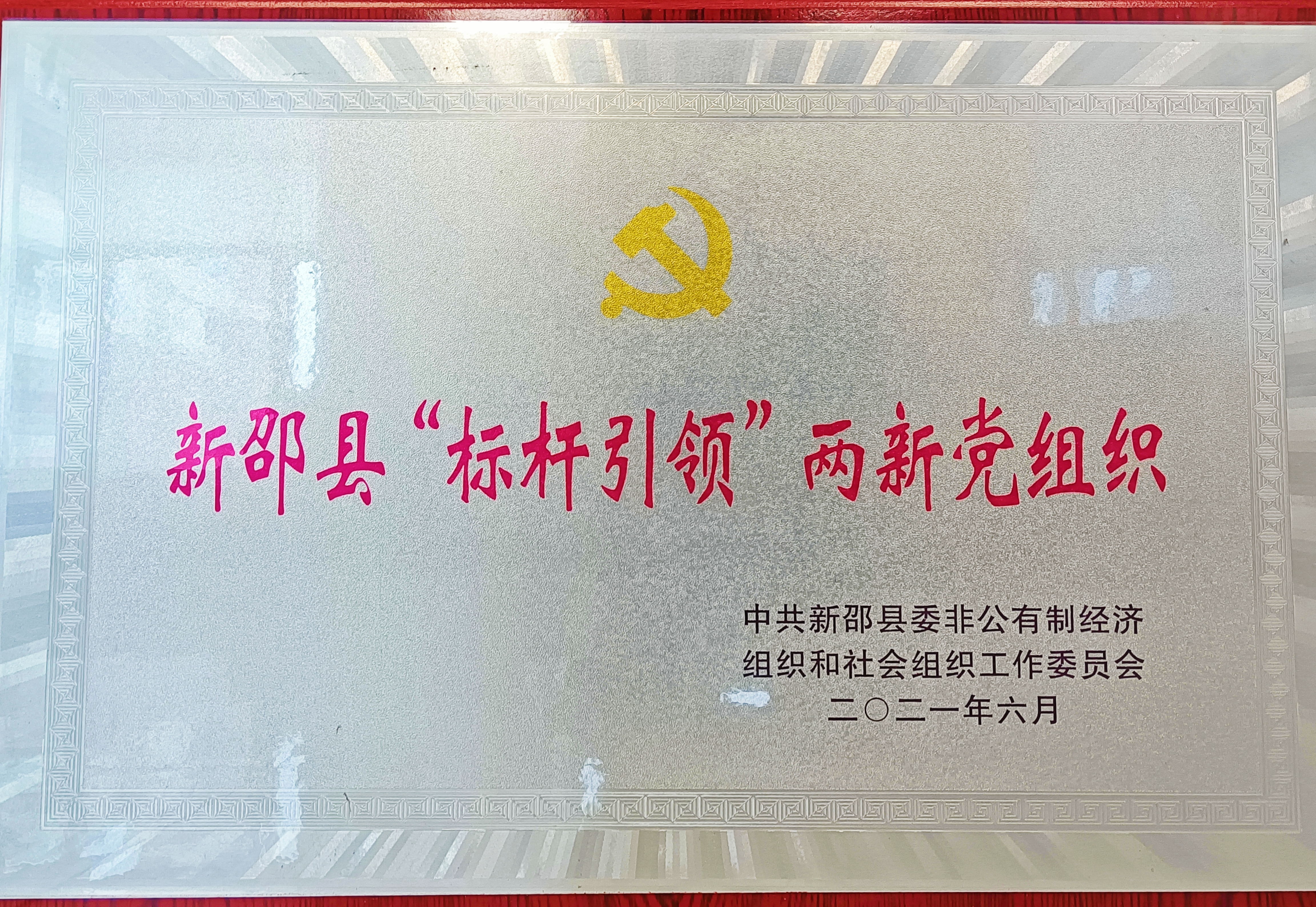 2021年學(xué)校黨支部被新邵縣委組織部評(píng)為“兩新組織標(biāo)桿單位”